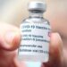 Gobierno paga 309.6 mdd por vacunas a AstraZeneca - Noticias, Deportes, Gossip, Columnas