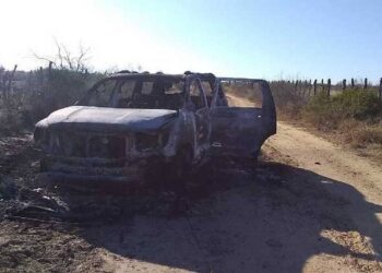Hallan 19 cuerpos calcinados tras enfrentamiento entre NL y Tamaulipas - Noticias, Deportes, Gossip, Columnas