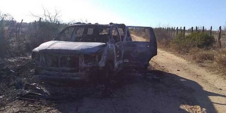Hallan 19 cuerpos calcinados tras enfrentamiento entre NL y Tamaulipas - Noticias, Deportes, Gossip, Columnas