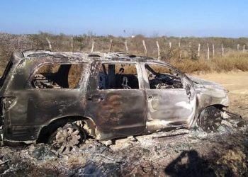 Identifican a 16 hombres y una mujer entre los 19 cuerpos calcinados en Tamaulipas - Noticias, Deportes, Gossip, Columnas