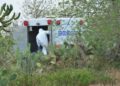 Jalisco y Guanajuato concentran mayoría de fosas - Noticias, Deportes, Gossip, Columnas