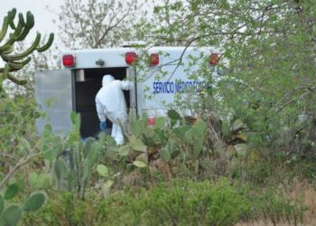 Jalisco y Guanajuato concentran mayoría de fosas - Noticias, Deportes, Gossip, Columnas