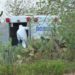 Jalisco y Guanajuato concentran mayoría de fosas - Noticias, Deportes, Gossip, Columnas
