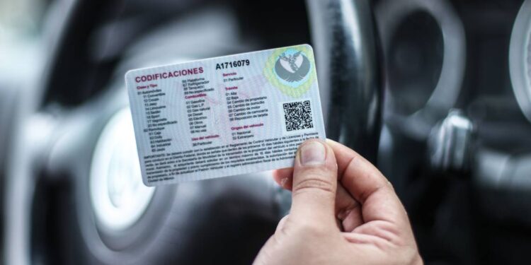 Licencia federal para conductores también será digital - Noticias, Deportes, Gossip, Columnas