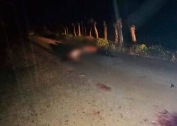 Matan a líder de autodefensas en el sur de Veracruz junto con 11 de sus compañeros - Noticias, Deportes, Gossip, Columnas