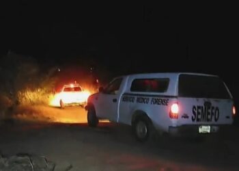 Matan a líder transportista de Iguala - Noticias, Deportes, Gossip, Columnas