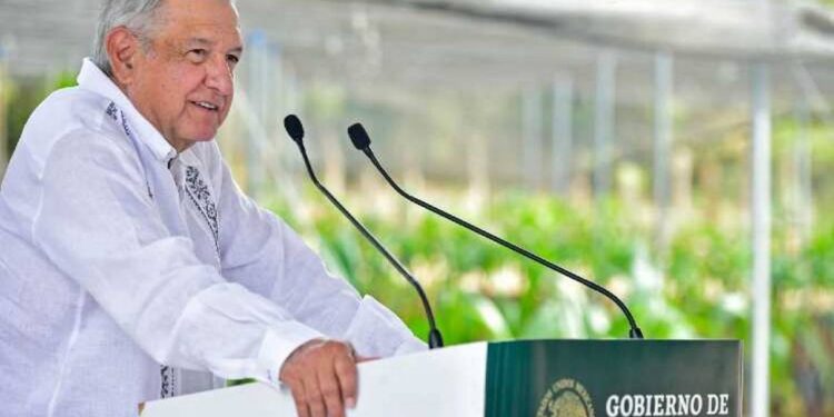 Nos han llegado vacunas contra Covid por buenas relaciones, afirma AMLO - Noticias, Deportes, Gossip, Columnas