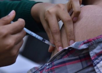 Podrán IP y estados comprar sus vacunas - Noticias, Deportes, Gossip, Columnas