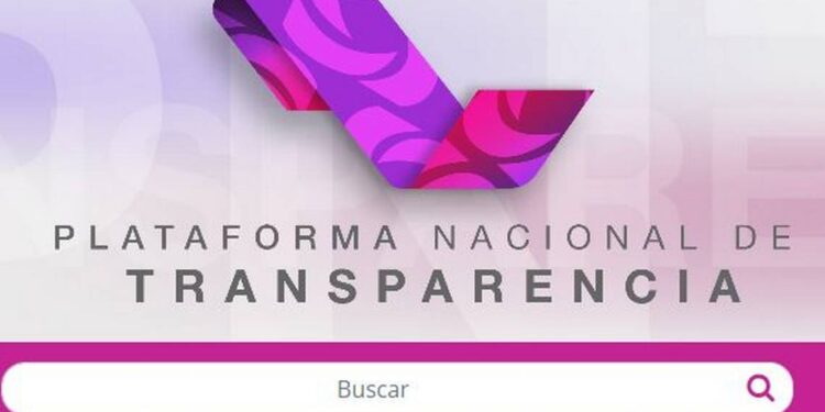 Se cae la Plataforma Nacional de Transparencia - Noticias, Deportes, Gossip, Columnas