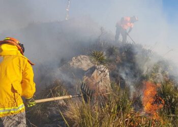 Se registra incendio en el pico norte del Cerro de la Silla - Noticias, Deportes, Gossip, Columnas