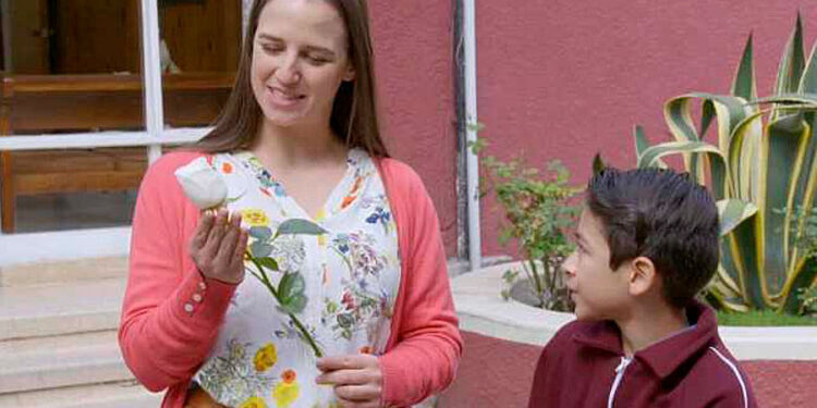 La Rosa de Guadalupe