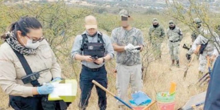 Aumentan grupos que buscan desaparecidos en Guanajuato - Noticias, Deportes, Gossip, Columnas