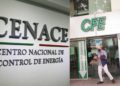Cenace y CFE no alertaron a Tamaulipas sobre riesgo de apagones - Noticias, Deportes, Gossip, Columnas
