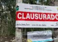 Clausuran megafiesta en medio de la selva en Tulum - Noticias, Deportes, Gossip, Columnas
