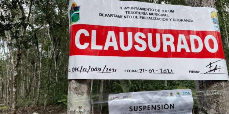 Clausuran megafiesta en medio de la selva en Tulum - Noticias, Deportes, Gossip, Columnas