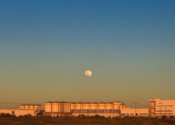 Constellations Brands busca cómo cubrir su producción - Noticias, Deportes, Gossip, Columnas