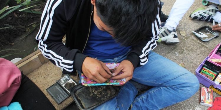 Crece consumo de drogas en adolescentes durante pandemia - Noticias, Deportes, Gossip, Columnas