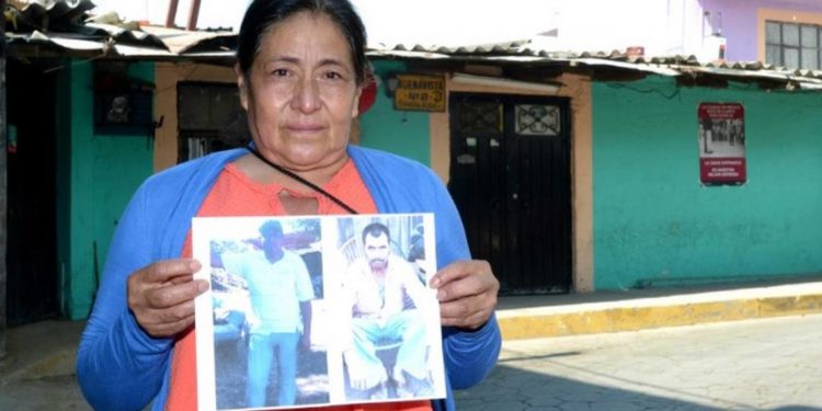 Desaparecen a familia en Tierra Caliente por defender a los bosques - Noticias, Deportes, Gossip, Columnas