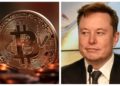 Elon Musk mete fuerza al Bitcoin y la acepta como forma de pago - Noticias, Deportes, Gossip, Columnas
