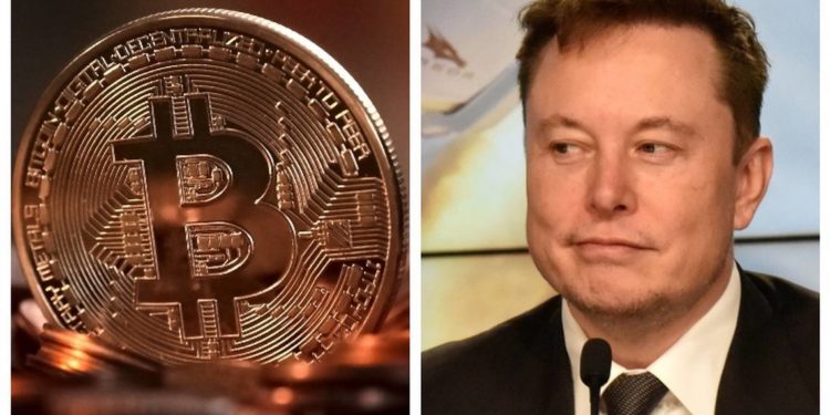 Elon Musk mete fuerza al Bitcoin y la acepta como forma de pago - Noticias, Deportes, Gossip, Columnas