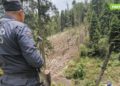 En México talan el equivalente a dos veces la CDMX - Noticias, Deportes, Gossip, Columnas