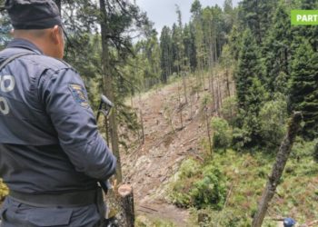 En México talan el equivalente a dos veces la CDMX - Noticias, Deportes, Gossip, Columnas