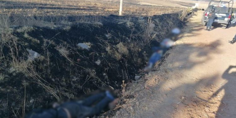 Encuentran cuatro jóvenes muertos en Almoloya de Juárez - Noticias, Deportes, Gossip, Columnas