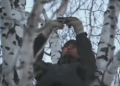 Estudiante en lo alto de un árbol toma clases online