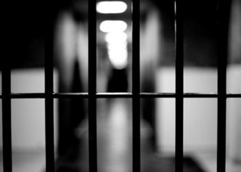 FGR condena a ocho años de prisión a traficantes de indocumentados - Noticias, Deportes, Gossip, Columnas