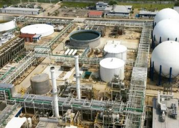 Fertinal pierde 1,858 mdp durante 2019 - Noticias, Deportes, Gossip, Columnas