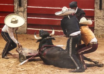 Fiesta taurina, en la cuerda floja en Puebla - Noticias, Deportes, Gossip, Columnas