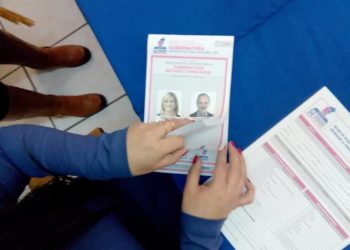 La lucha por las 15 gubernaturas - Noticias, Deportes, Gossip, Columnas