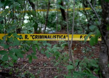 Localizan en Jalisco 85 fosas en 3 años - Noticias, Deportes, Gossip, Columnas