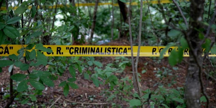 Localizan en Jalisco 85 fosas en 3 años - Noticias, Deportes, Gossip, Columnas