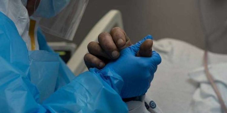 México, a un año de "enfermarse" de Covid-19 - Noticias, Deportes, Gossip, Columnas