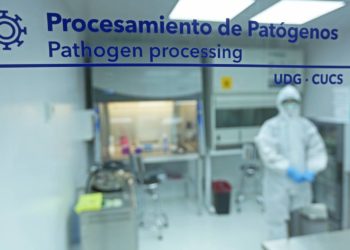 México frenará contagios hasta octubre de 2022: UAM - Noticias, Deportes, Gossip, Columnas