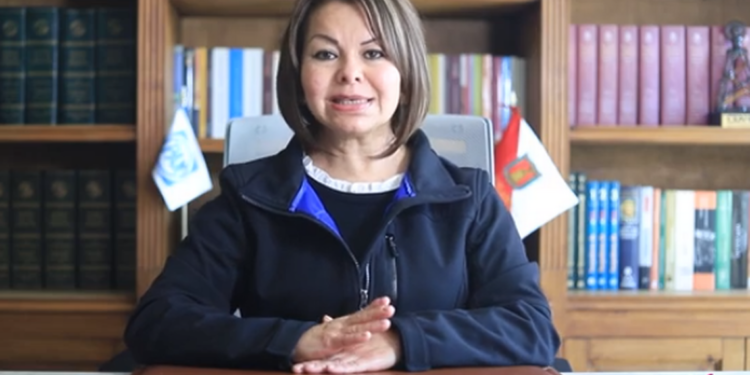 Minerva Hernández pide reforma fiscal para aumentar ingresos públicos en 2021 - Noticias, Deportes, Gossip, Columnas