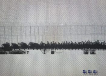 Perro entrenado delata a 106 migrantes escondidos en un tráiler en la frontera - Noticias, Deportes, Gossip, Columnas