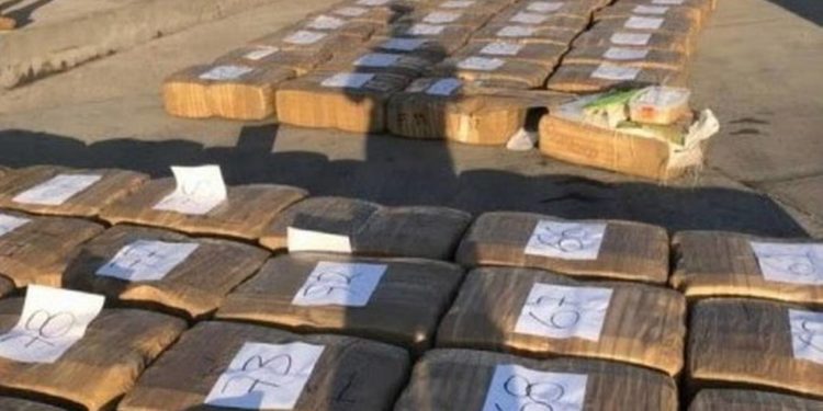 Pescadores, afiles del narco en altamar - Noticias, Deportes, Gossip, Columnas