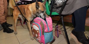 SCJN declara inconstitucional el programa "Mochila Segura" - Noticias, Deportes, Gossip, Columnas