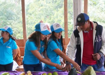 STPS, en busca de becarios para reactivar el sector turístico de jalisco - Noticias, Deportes, Gossip, Columnas