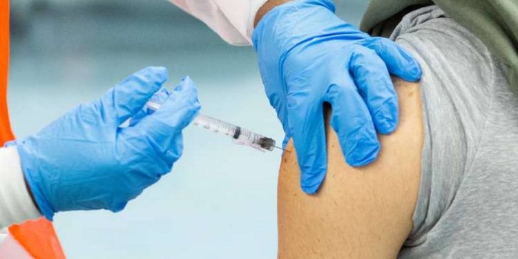 Se han aplicado 726 mil 313 vacunas contra Covid-19 en México - Noticias, Deportes, Gossip, Columnas