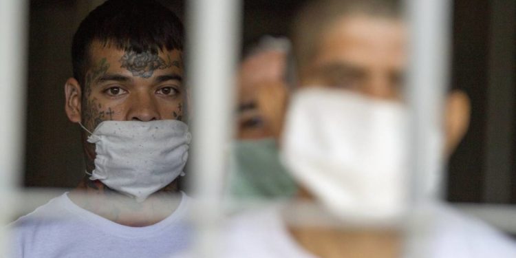 Segob ha recibido mil 115 solicitudes de amnistía, 760 son delitos contra la salud - Noticias, Deportes, Gossip, Columnas