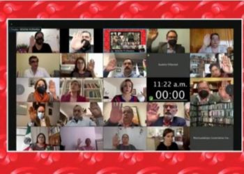 Senado entra a debate por minuta de reforma eléctrica de AMLO - Noticias, Deportes, Gossip, Columnas