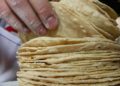 Tortillas alimentan ventas y ganancias de Gruma - Noticias, Deportes, Gossip, Columnas