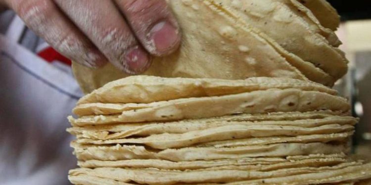 Tortillas alimentan ventas y ganancias de Gruma - Noticias, Deportes, Gossip, Columnas