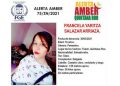 Activan Alerta Amber para localizar a hija de Victoria, migrante asesinada en Tulum