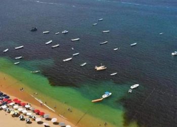 Analizan posible presencia de marea roja en playas de Acapulco - Noticias, Deportes, Gossip, Columnas