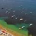 Analizan posible presencia de marea roja en playas de Acapulco - Noticias, Deportes, Gossip, Columnas