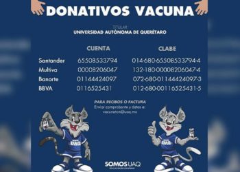 Arranca Vacunatón en Querétaro este sábado; se buscan fondos para vacuna anticovid - Noticias, Deportes, Gossip, Columnas